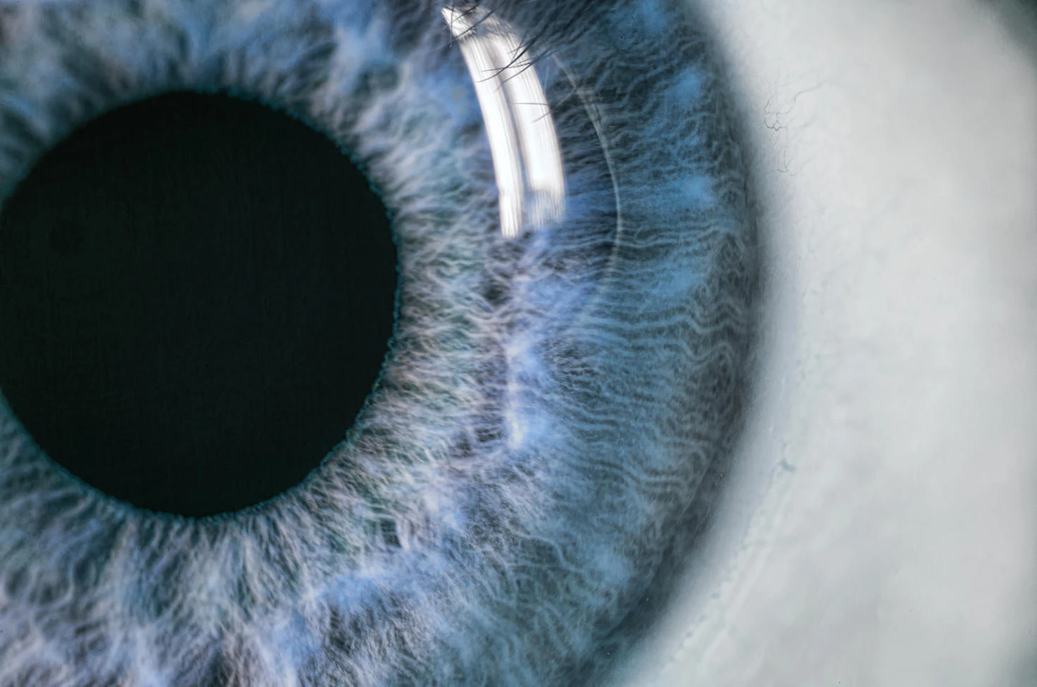 Ophthalmology
